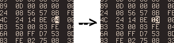 Changing the bytes Changing the bytes